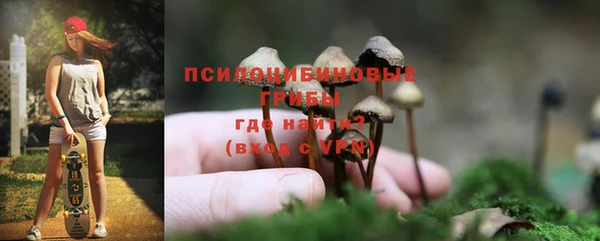 гашиш Надым